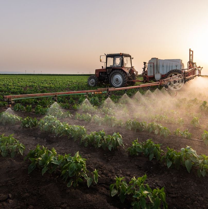 ‘A Nightmare.’ North Texas Farmers Say Chemicals in Fertilizer Are Killing Their Livestock