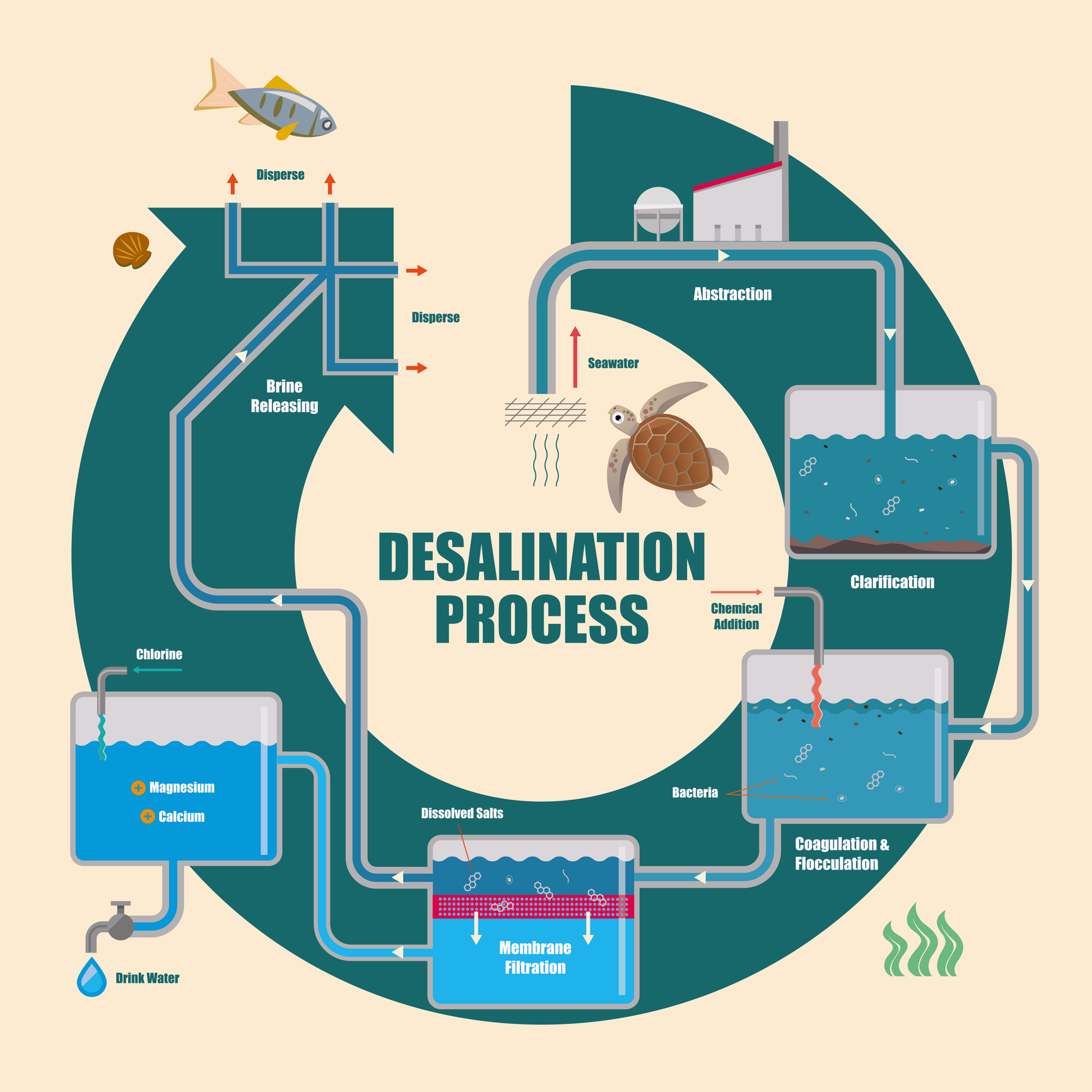 Kiewit Beats Out 2 Firms for Texas Desalination Plant Job 