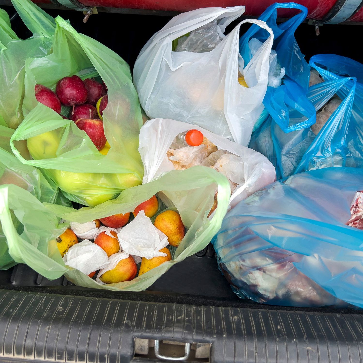 New Study Says to Think Fees, Not Bans, to Reduce Plastic Bag Litter