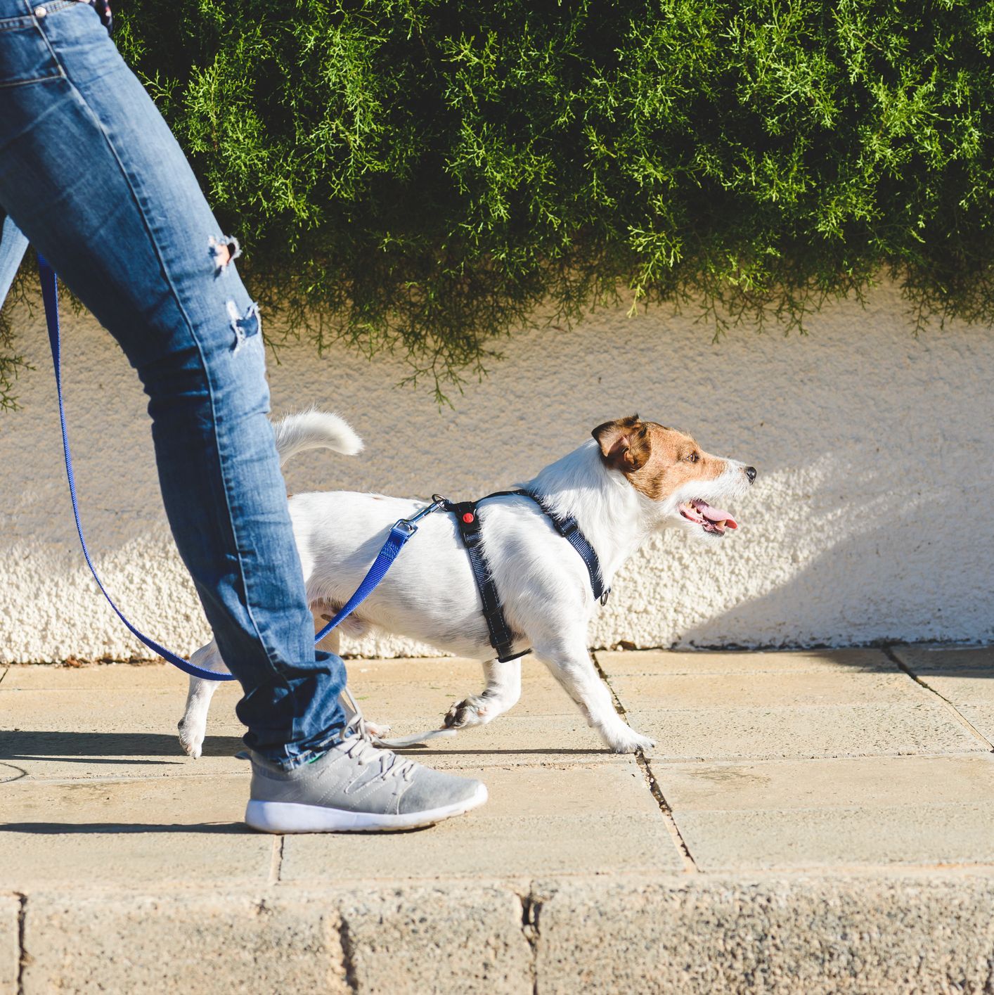 New Research Shows Promise of Recycled Plastic Use in Pavement
